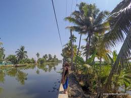 VILLAGE WALK - Image 2