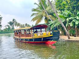 TRADITIONAL SHIKARA RIDE - Image 6