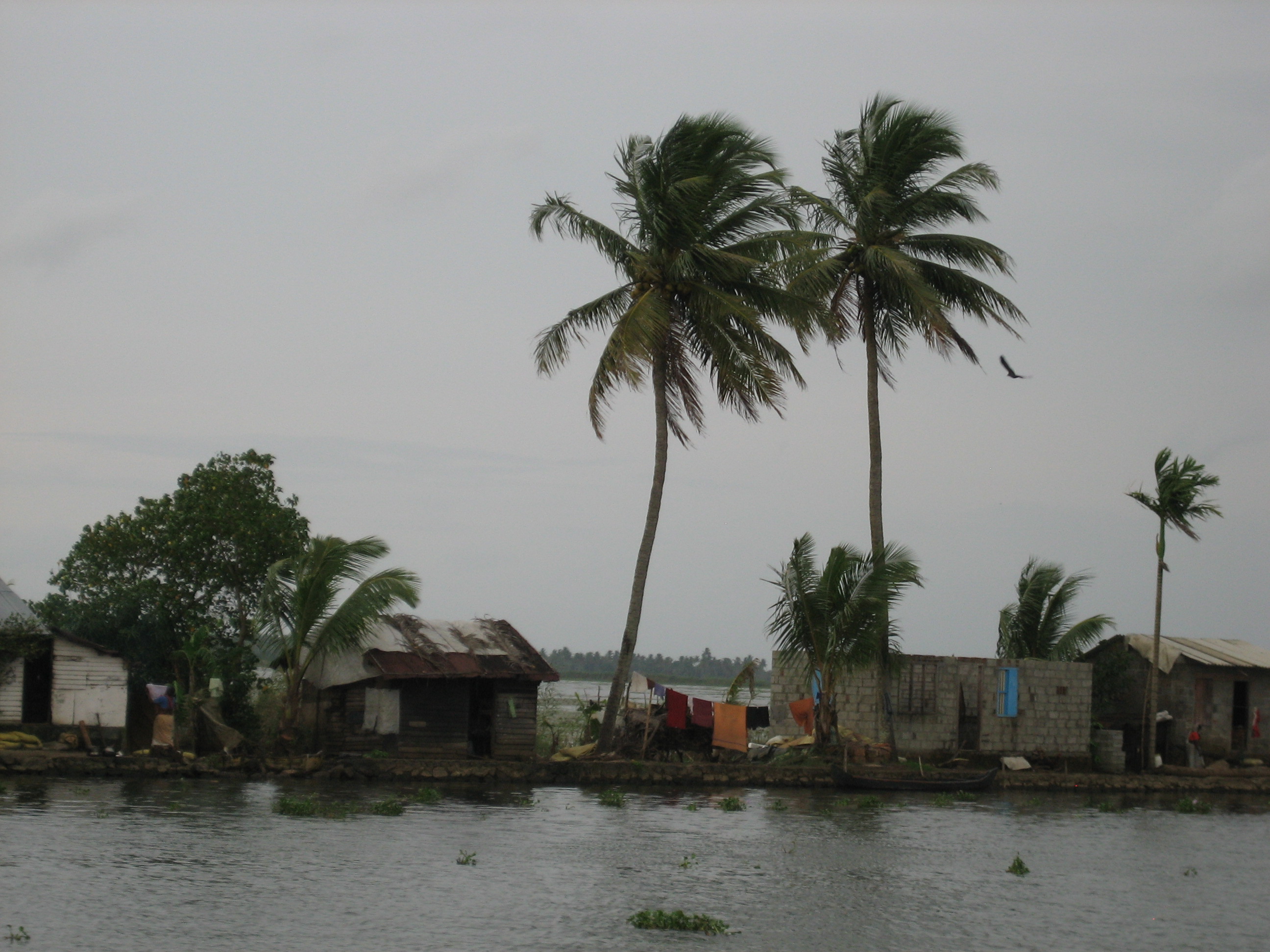 Alleppey Backwater Village Life Experience