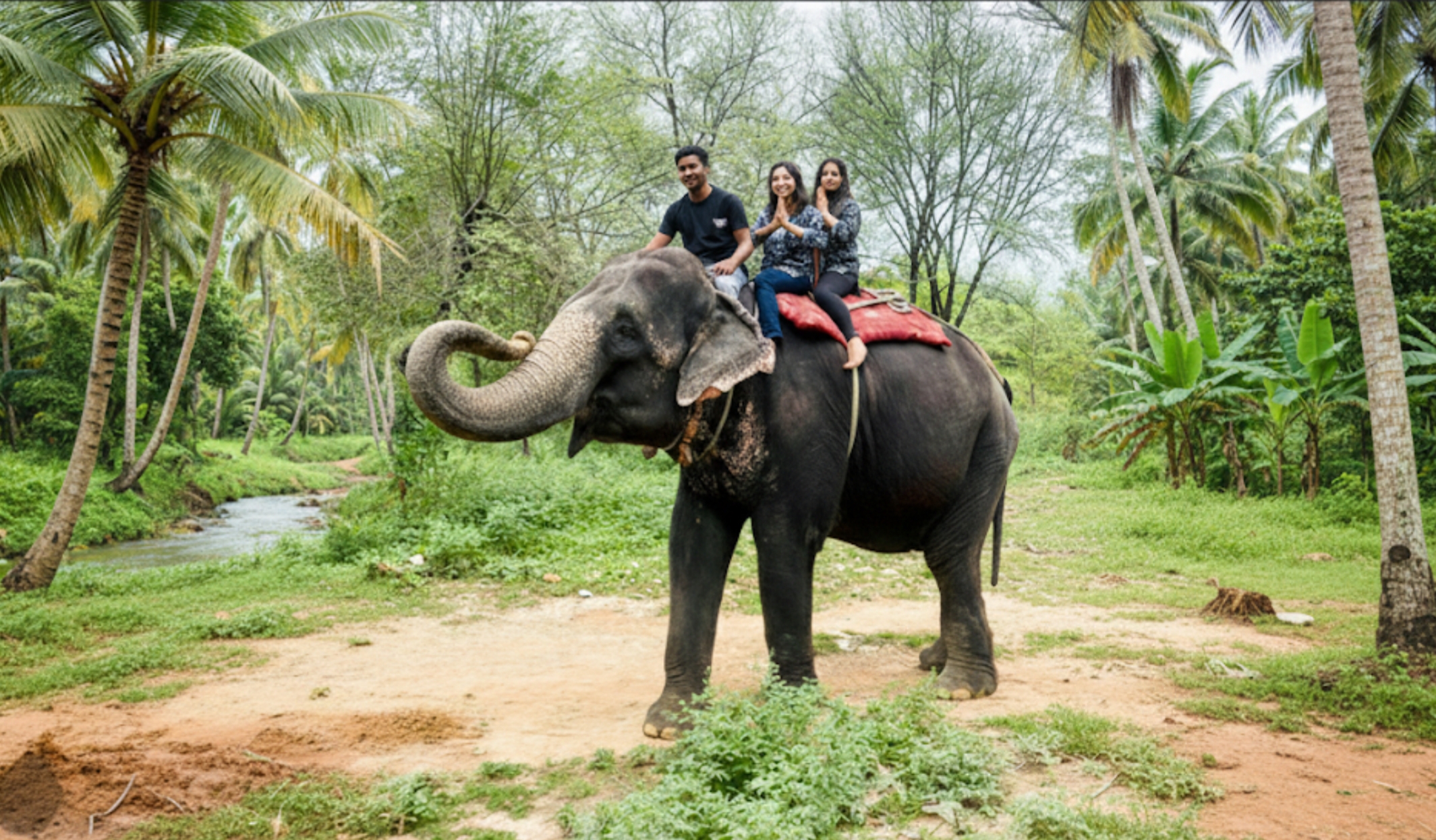 Alleppey Elephant Safari